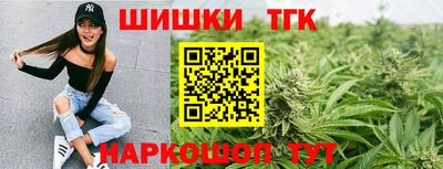 прущие крисы Ноябрьск