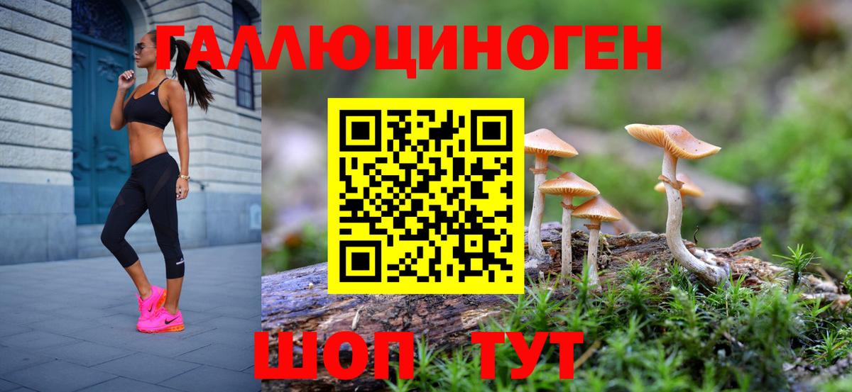 Галлюциногенные грибы Psilocybine cubensis  Вход с VPN  Отрадное 